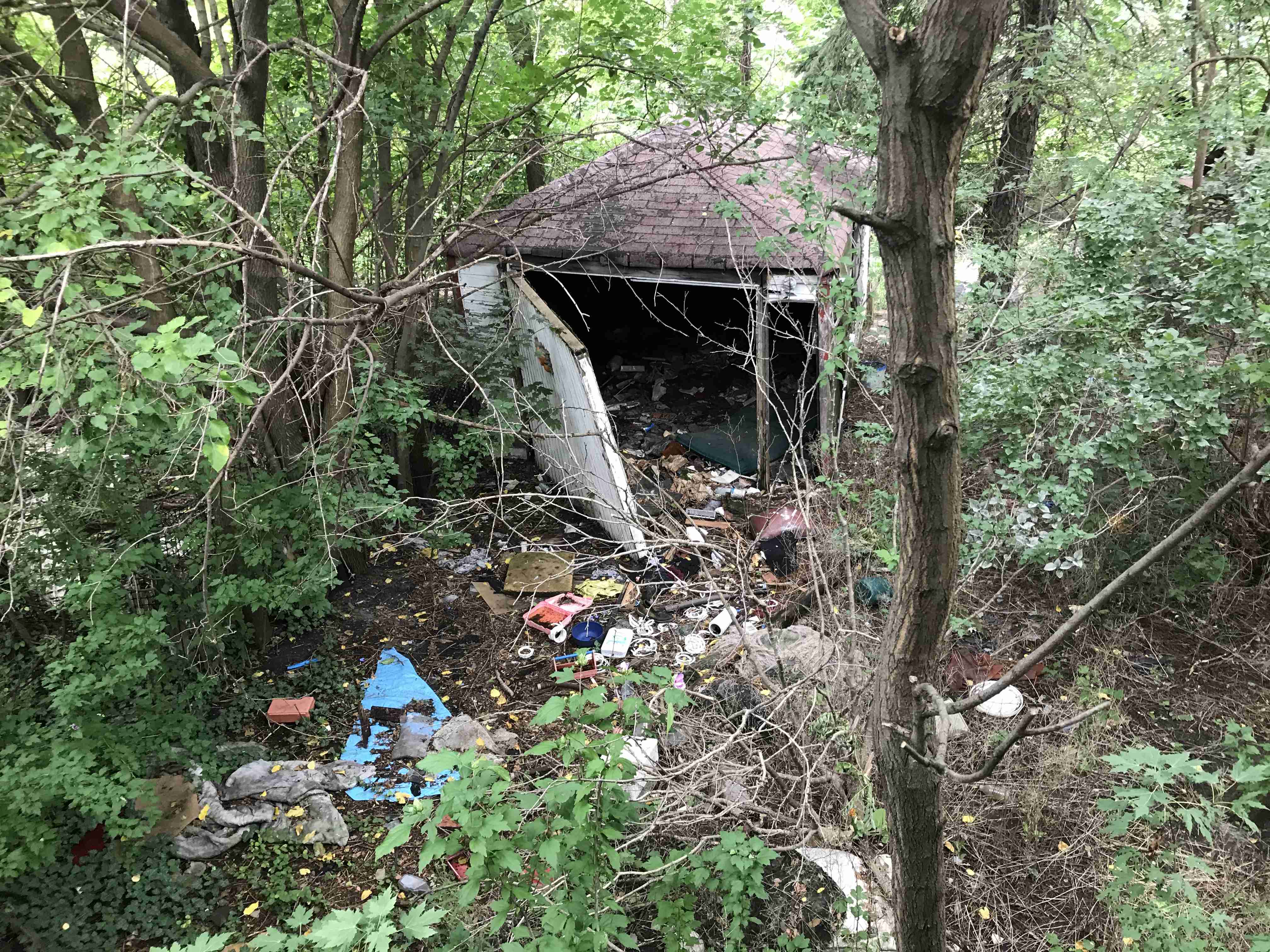 Photo Sep 10, 12 47 59 PM.jpg